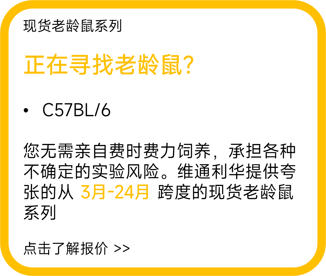 现货老龄鼠系列：正在寻找老龄鼠？